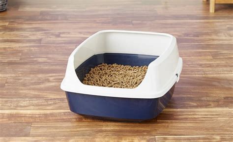 6 Best Natural Cat Litters (2024) Biodegradable & Organic .